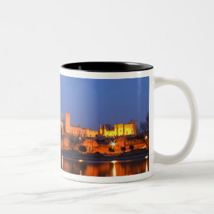 Papstpalast in Avignon und die Rhone bei Zweifarbige Tasse