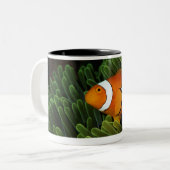 Papua-Neu-Guinea, falsches Clown anemonefish und Zweifarbige Tasse (Vorderseite Links)