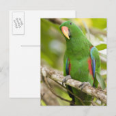 Papua-Neuer Guinea, Provinz Oro 2 Postkarte (Vorne/Hinten)