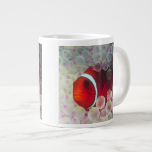 Papua-Neuguinea, Great Barrier Reef, Jumbo-Tasse