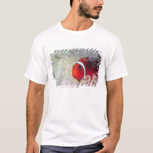 Papua-Neuguinea, Great Barrier Reef, T-Shirt