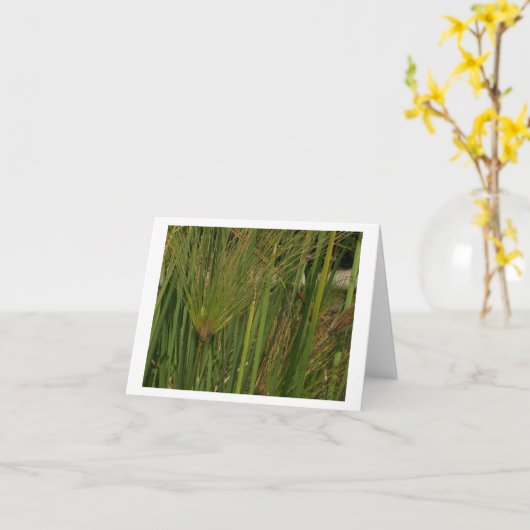 Papyrus Karte (Gelbe Blume)