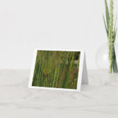 Papyrus Karte (Vorderseite)