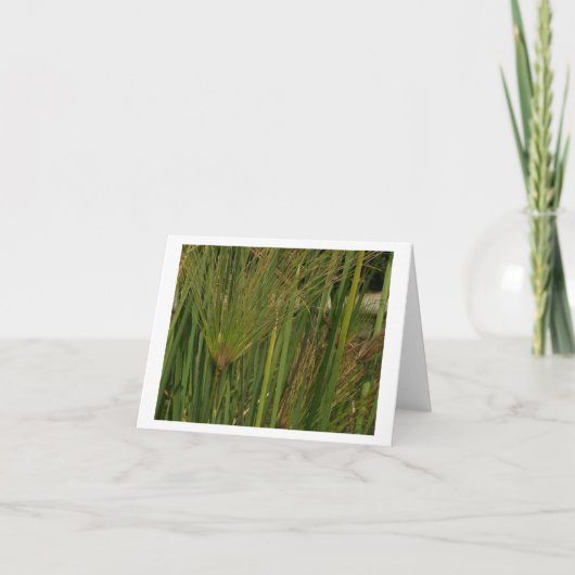 Papyrus Karte (Vorderseite)