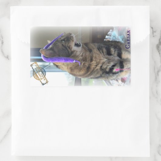 PAR Caesar Aufkleber (Tasche)