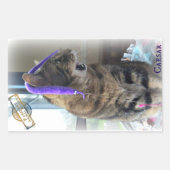 PAR Caesar Aufkleber (Vorderseite)