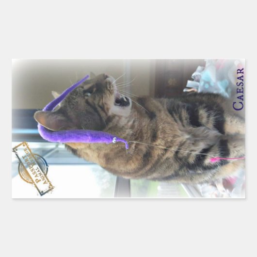 PAR Caesar Aufkleber (Vorderseite)