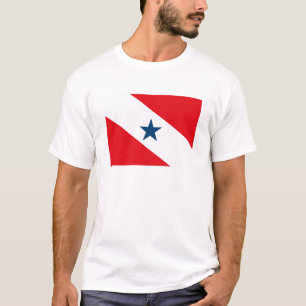 Para-Flaggen-T - Shirt