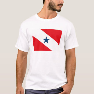 Para-Flaggen-T - Shirt