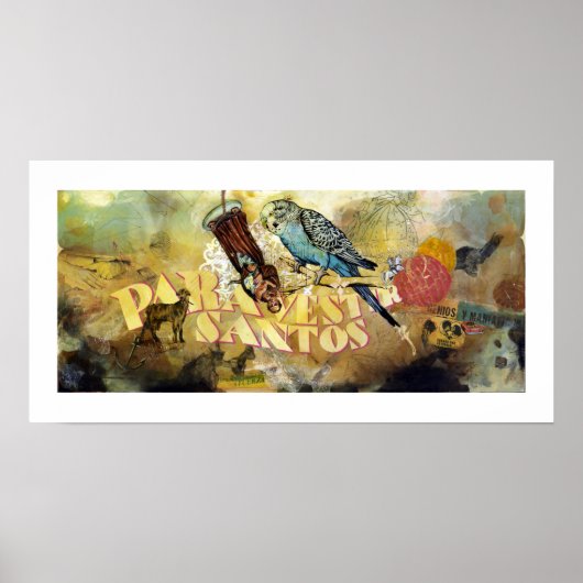 Para Vestir Santos Poster (Vorne)