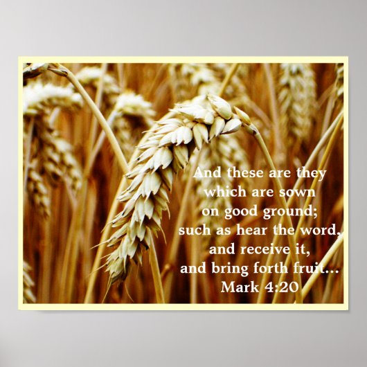 Parabel des Sower Poster (Vorne)
