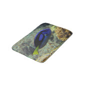 Paracanthurus hepatus badematte (Schrägansicht)