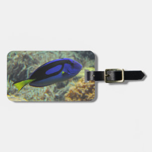 Paracanthurus hepatus gepäckanhänger