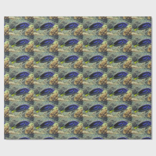 Paracanthurus hepatus geschenkpapier (Flach)