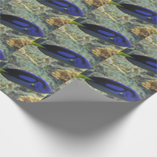 Paracanthurus hepatus geschenkpapier (Ecke)