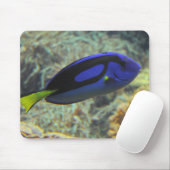 Paracanthurus hepatus mousepad (Mit Mouse)