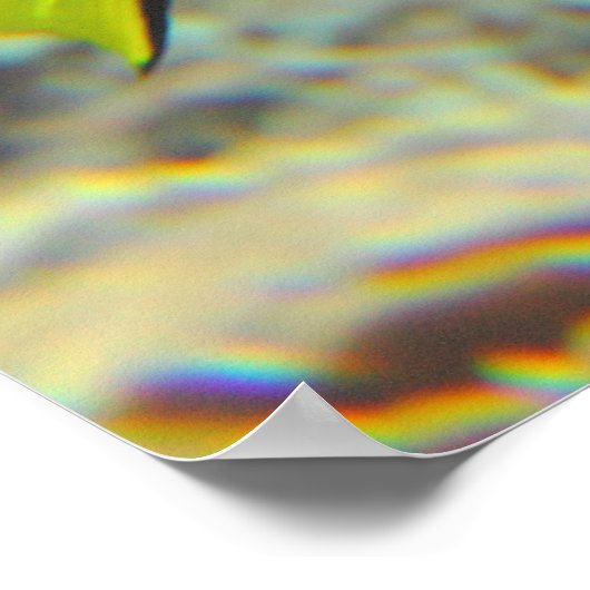 Paracanthurus hepatus poster (Ecke)