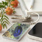 Paracanthurus hepatus schlüsselanhänger (Vorderseite rechts)