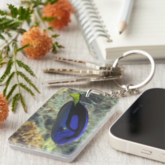 Paracanthurus hepatus schlüsselanhänger (Vorderseite rechts)