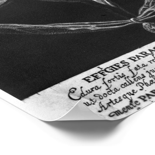 Paracelsus Poster (Ecke)