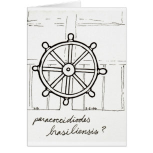 Paracoccidioides Karte