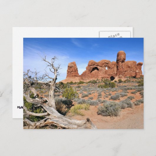 Parade der Elefanten im Nationalpark Arches Postkarte (Vorne/Hinten)