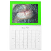 PARADIES-BETEILIGUNG KALENDER (Mär 2027)