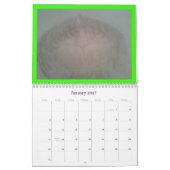 PARADIES-BETEILIGUNG KALENDER (Jan 2027)