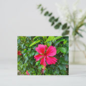 PARADIES BLUMEN POSTKARTE (Stehend Vorderseite)