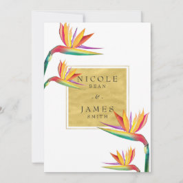 Paradies Der Vogel Elegante Einladung