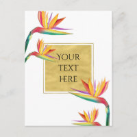 Paradies Der Vogel Elegante