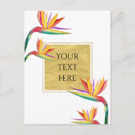 Paradies Der Vogel Elegante Postkarte