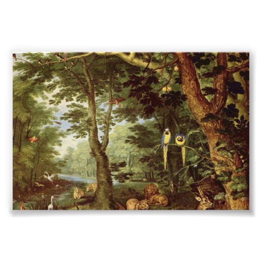 Paradies Fotodruck (Vorne)