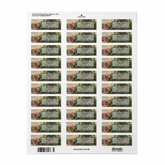 Paradies für Rosa Flamingo (Vorne)