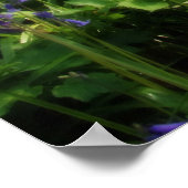 Paradies gefunden Plakat (Ecke)