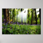 Paradies gefunden Plakat (Vorne)