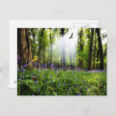 Paradies gefunden Postkarte (Vorne/Hinten)