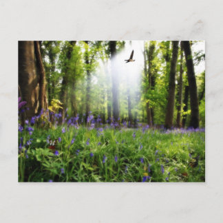 Paradies gefunden Postkarte