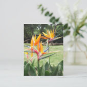 Paradies im Zoo 2 Postkarte (Stehend Vorderseite)