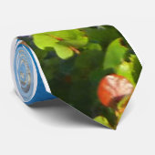 Paradies Krawatte (Gerollt)