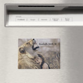 Paradies mit Tieren Magnet (In Situ (Geschirrspüler))