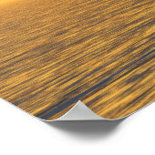 Paradies: ohne Schwebeflug Poster (Ecke)