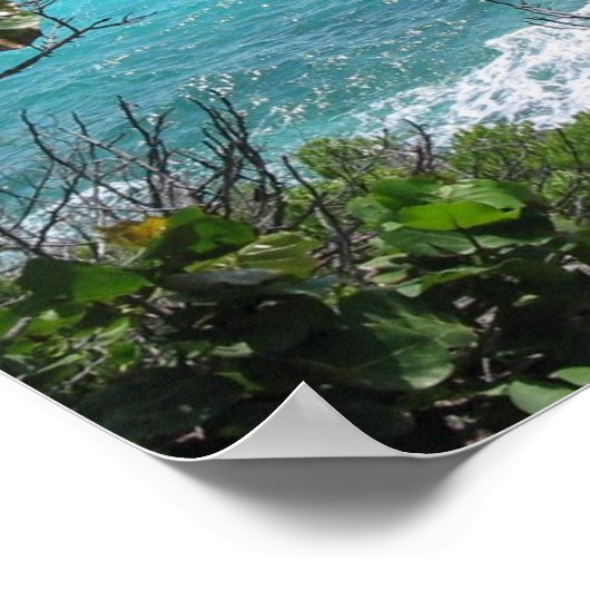 Paradies Poster (Ecke)