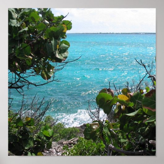 Paradies Poster (Vorne)