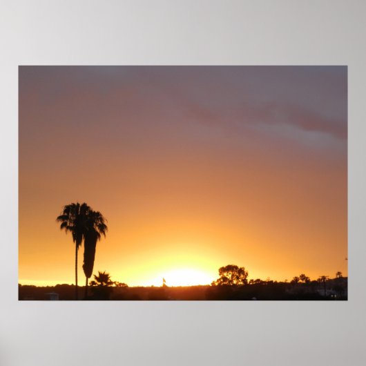 Paradies Poster (Vorne)