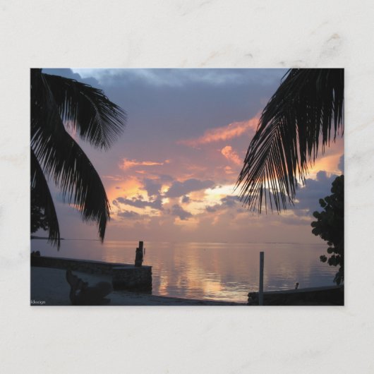 Paradies Postkarte (Vorderseite)