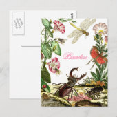 Paradies Postkarte (Vorne/Hinten)