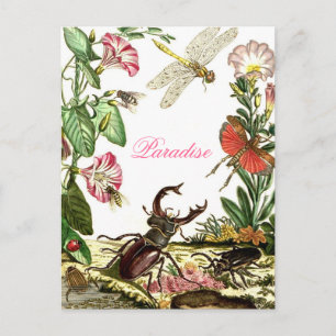 Paradies Postkarte