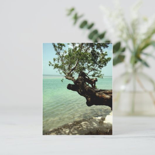 Paradies Postkarte (Stehend Vorderseite)