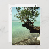 Paradies Postkarte (Vorne/Hinten)